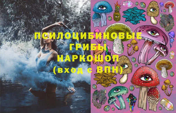 соль ск Балахна