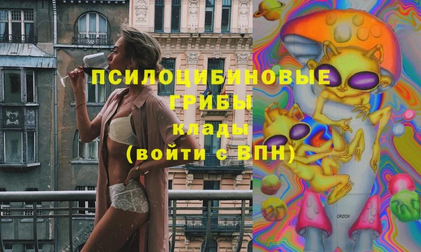 соль ск Балахна