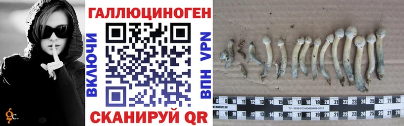 Галлюциногенные грибы Psilocybine cubensis  Куртамыш 