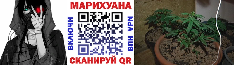 Бошки марихуана SATIVA & INDICA Куртамыш